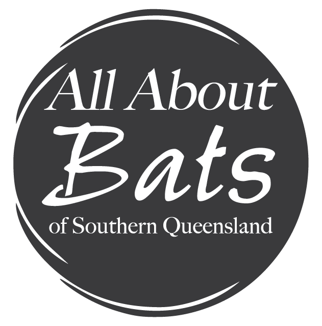 All About Bats