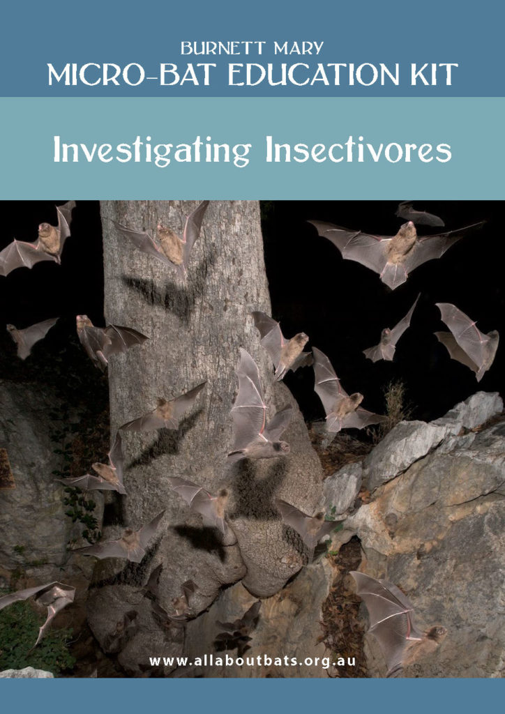 COVER - Micro-bat Education Kit - Investigating Insectivores